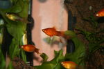 IMG_0582~0.JPG