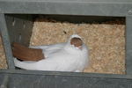 IMG_2675.JPG
